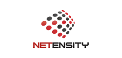 Netensity client color logo